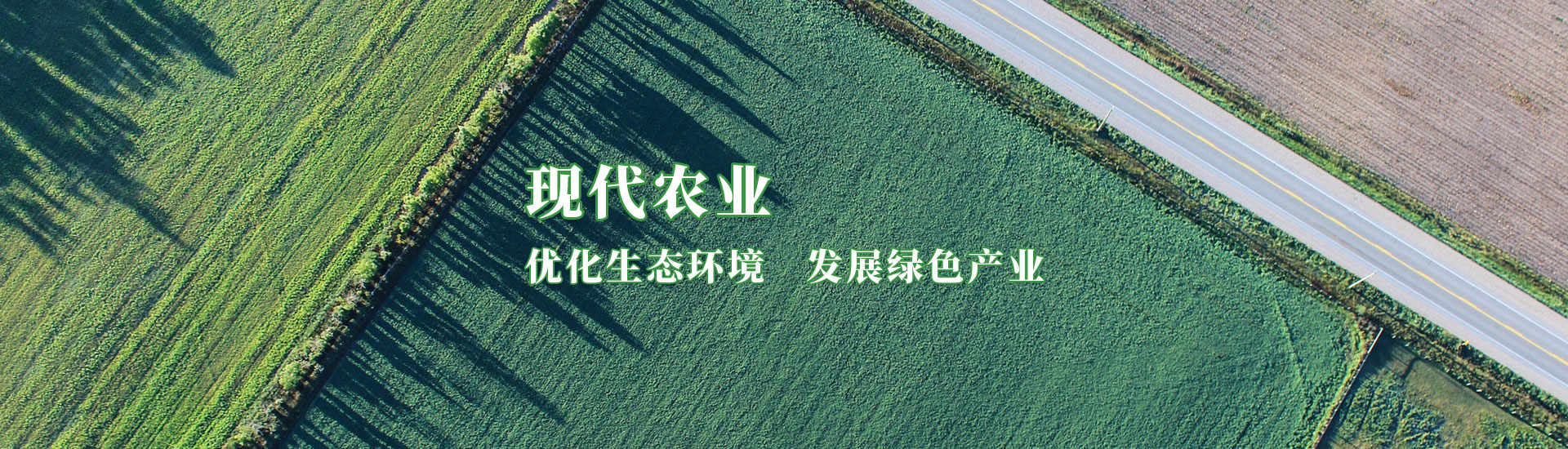 腾博汇游戏官网·(中国)专业服务,诚信为本